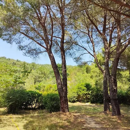 Mas Vallcrosa Calme Et Confortable Avec Piscine