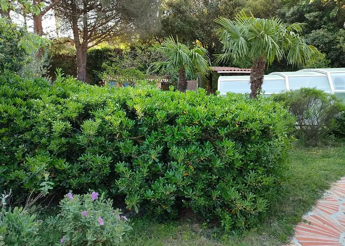 Apartment Mas Vallcrosa Calme Et Confortable Avec Piscine Camélas