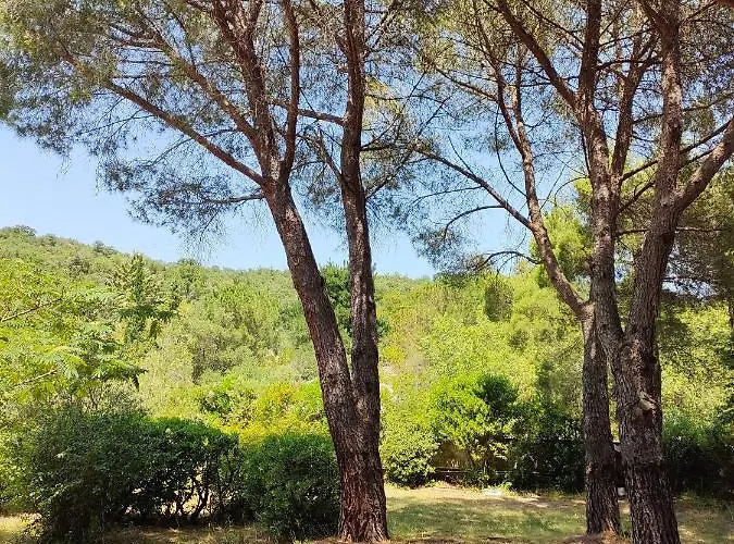 Mas Vallcrosa Calme Et Confortable Avec Piscine